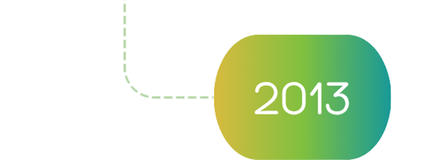 PGI Financials 2013