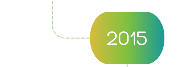 PGI Financials 2015