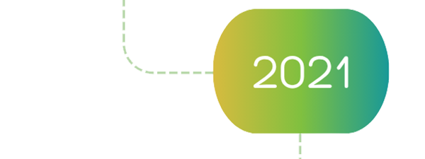 PGI Financials 2021