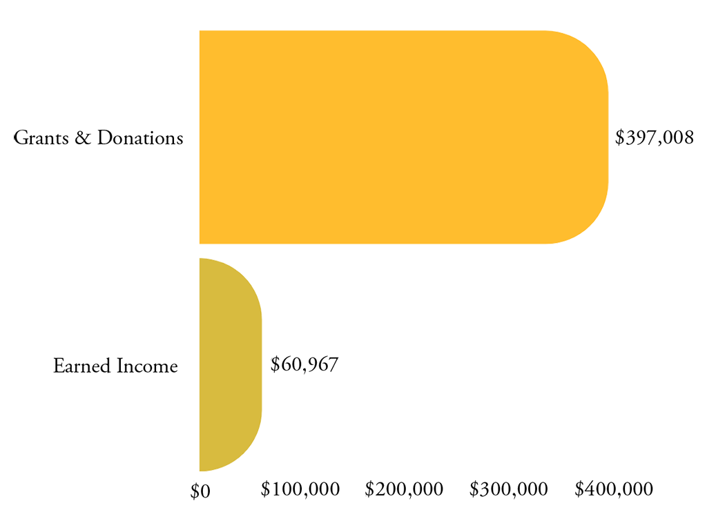 PGI Revenue Sources